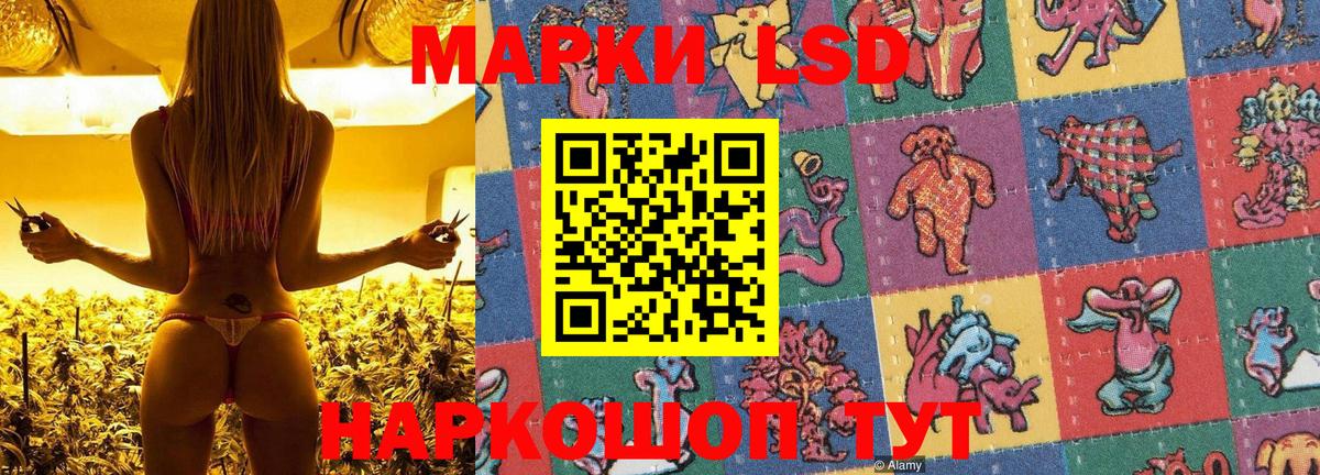 Курчалой  Марки N-bome 1,8мг  Вход с VPN 