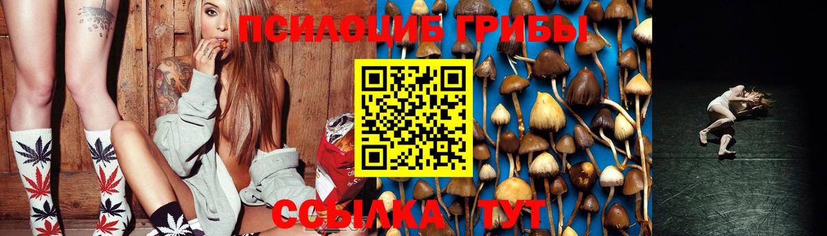 Псилоцибиновые грибы Psilocybe  Псилоцибиновые грибы прущие грибы  Вход с VPN  Курчалой 