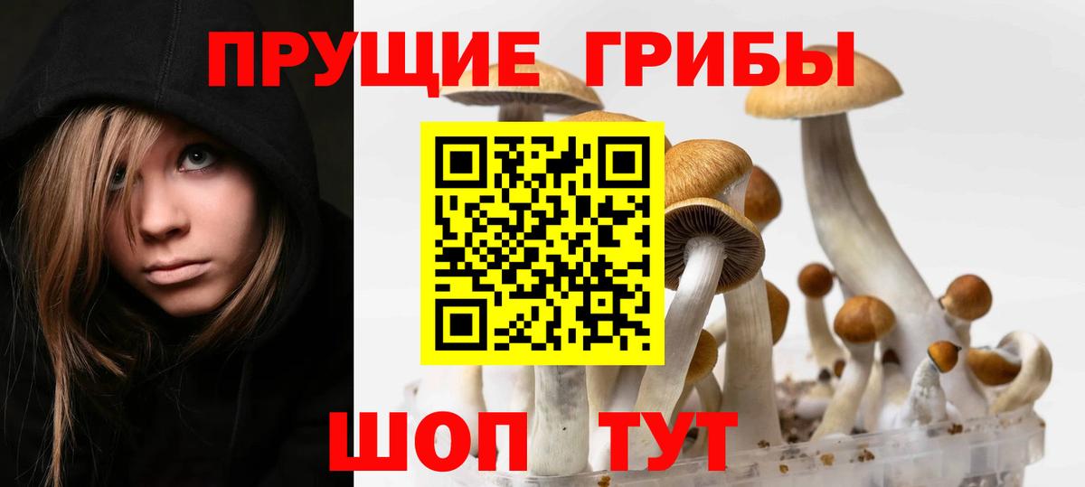 Галлюциногенные грибы GOLDEN TEACHER Курчалой