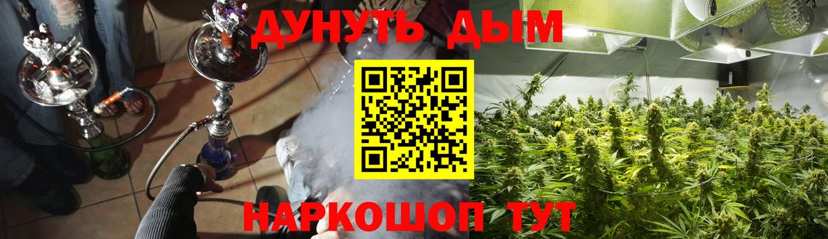 Бошки марихуана Amnesia Курчалой